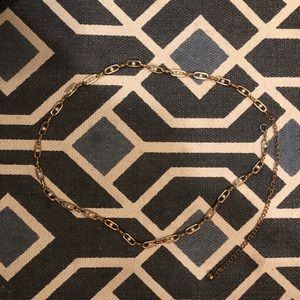 Chain link belt